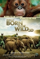 Subtitrare  Born to Be Wild HD 720p