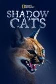 Subtitrare Shadow Cats