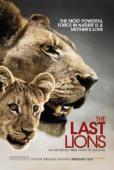 Subtitrare The Last Lions 