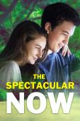 Subtitrare The Spectacular Now