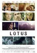 Subtitrare  Lotus DVDRIP XVID