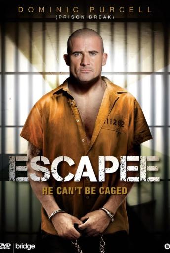 Subtitrare Escapee (Asylum Escape)