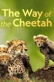 Subtitrare  The Way of the Cheetah
