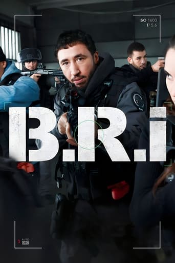 Subtitrare BRI (The Brigade) - Sezonul 1