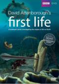 Subtitrare  David Attenboroughs First Life