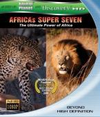 Subtitrare  Africa's Super Seven HD 720p