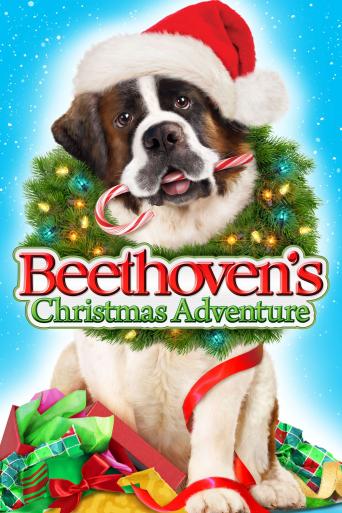 Subtitrare  Beethoven's Christmas Adventure