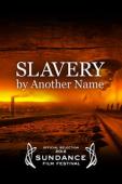 Subtitrare  Slavery by Another Name 1080p