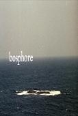 Subtitrare  Bosphore