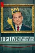 Subtitrare  Fugitive: The Curious Case of Carlos Ghosn