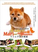 Subtitrare  A Tale of Mari and Three Puppies (Mari to koinu no DVDRIP