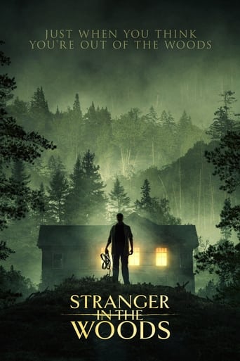 Subtitrare Stranger in the Woods