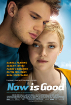 Subtitrare  Now Is Good DVDRIP HD 720p 1080p XVID