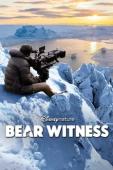 Subtitrare  Bear Witness