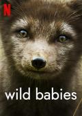 Trailer Wild Babies