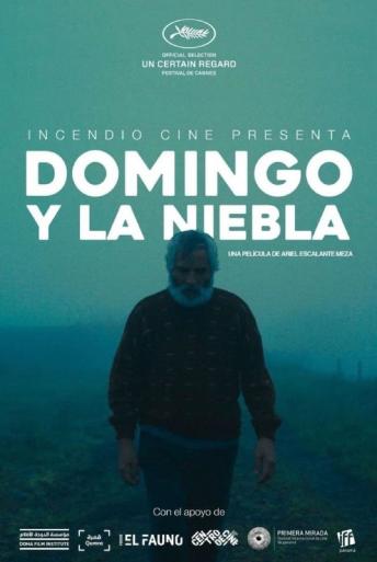 Subtitrare  Domingo y la niebla (Domingo and the Mist) HD 720p