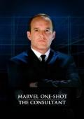 Subtitrare Marvel One-Shot: The Consultant
