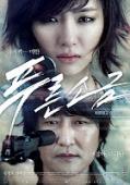 Subtitrare  Hindsight (Poo-reun so-geum) DVDRIP
