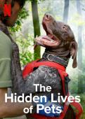 Subtitrare The Hidden Lives of Pets (The Secret Life of Our P