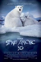 Subtitrare  To the Arctic 3D HD 720p 1080p XVID