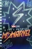 Subtitrare A Fan's Guide to Ms. Marvel
