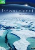 Subtitrare  Frozen Planet