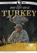 Subtitrare  BBC Natural World - My Life as a Turkey