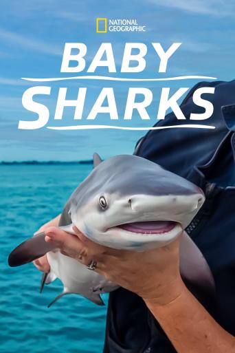 Subtitrare  Baby Sharks