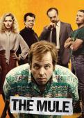 Subtitrare  The Mule HD 720p 1080p XVID