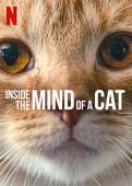Subtitrare Inside the Mind of a Cat