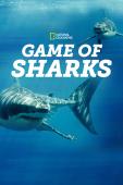 Subtitrare Game of Sharks