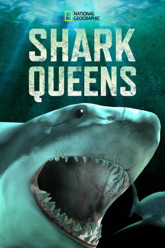 Subtitrare  Shark Queens