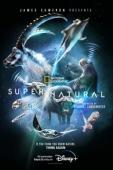 Subtitrare Super/Natural - Sezonul 1