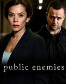 Subtitrare  Public Enemies - Sezonul 1