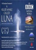 Subtitrare  BBC Natural World - A Killer Whale Called Luna HD 720p