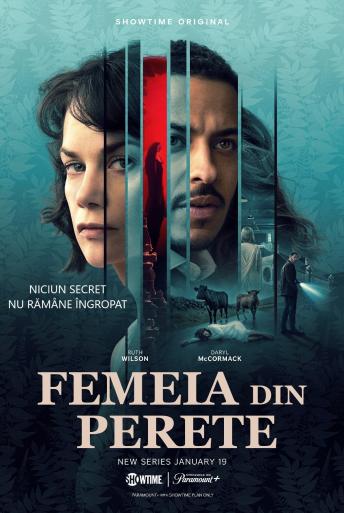 Subtitrare  The Woman in the Wall - Sezonul 1