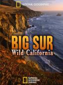 Subtitrare Big Sur-Wild California
