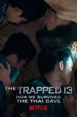Subtitrare The Trapped 13: How We Survived the Thai Cave
