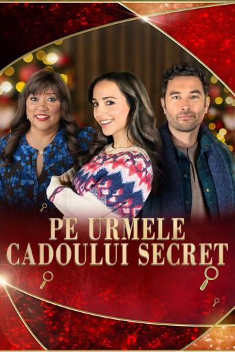 Subtitrare  The Search for Secret Santa