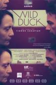 Subtitrare  Wild Duck