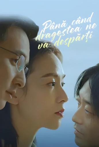 Subtitrare Till Love Do Us Part (Sheng Ji yi Shi de Ai Qing)