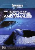 Subtitrare  The Ultimate Guide: Dolphins