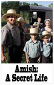 Subtitrare  Amish: A Secret Life