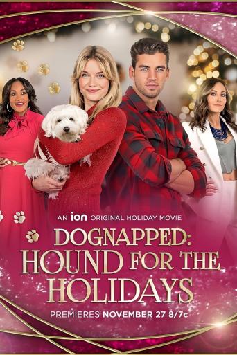 Subtitrare  Dognapped: Hound for the Holidays