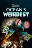 Subtitrare  Ocean's Weirdest - Sezonul 1