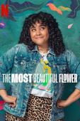 Subtitrare  The Most Beautiful Flower (La flor más bella) - Sezonul 1