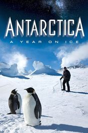 Subtitrare  Antarctica: A Year on Ice HD 720p 1080p