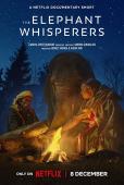 Subtitrare  The Elephant Whisperers