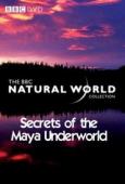 Subtitrare  Secrets of the Maya Underworld