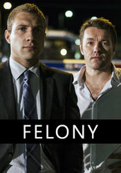 Subtitrare  Felony HD 720p 1080p XVID